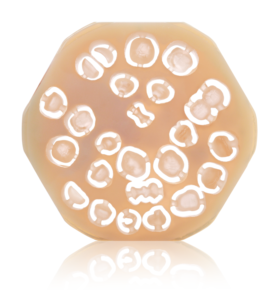 HASS.BIO CAD-CAM Materials | XYZ Dental