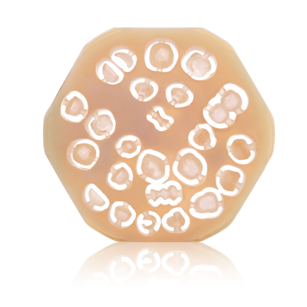 Untitled design (35)