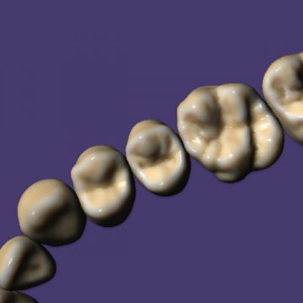 ZRS Tooth Library